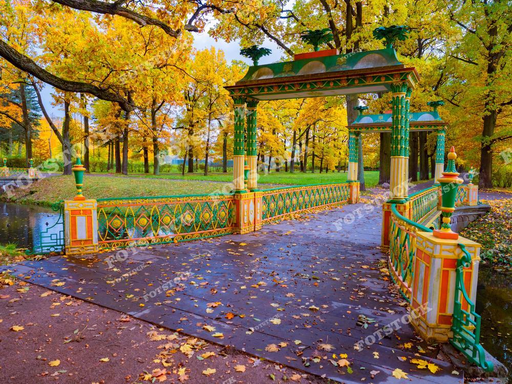 На фотографии запечатлен Китайский мостик в парке Царского Села, утопающий в осенней листве. Яркие зелено-оранжевые элементы декора моста подчеркивают его уникальный восточный стиль, создавая живописный контраст с золотистой осенней листвой. Этот уголок парка особенно популярен среди посетителей в осенние месяцы благодаря насыщенным краскам и гармонии природы и архитектуры.